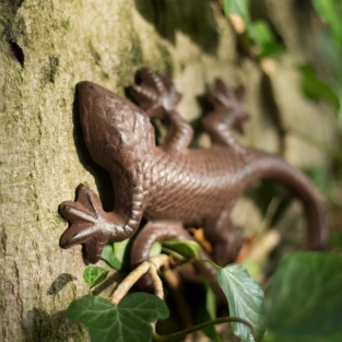 Mooie hagedis, gekko als decoratie, gietijzeren salamander