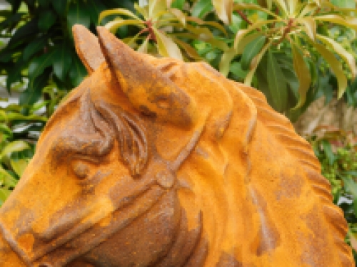 Cast iron sculpture of a horse head, very nice design!