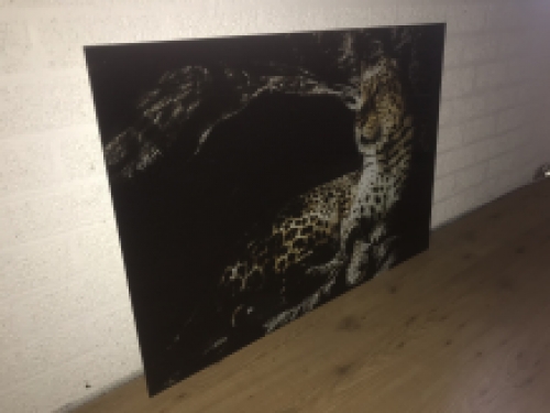 Prachtige kunst op glas van een luipaard / panter, heel mooi!