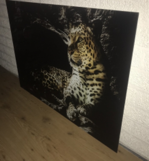 Prachtige kunst op glas van een luipaard / panter, heel mooi!