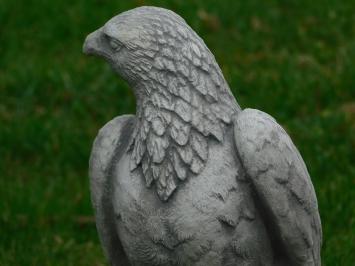 Stone goshawk - White with Grey - Animal sculpture