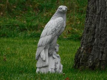 Stone goshawk - White with Grey - Animal sculpture