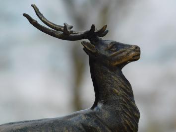 Deer - standing with antlers - bronze look - metal