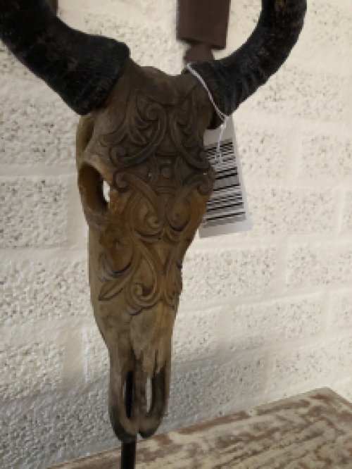 Beautiful carved skull on metal stand, beautiful design!