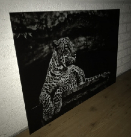 Schöne Kunst auf Glas von einem liegenden Leoparden / Panther, schwarz und weiß, sehr schön!