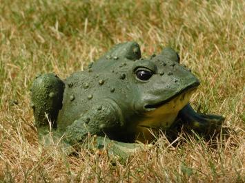 Ein lustiger und dekorativer Frosch aus Polystein