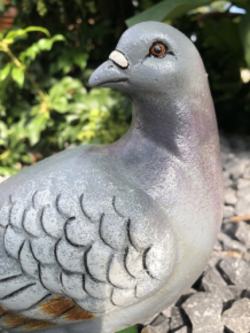 Schöne Statue, in Farbe, einer Taube, aus Gusseisen, schön