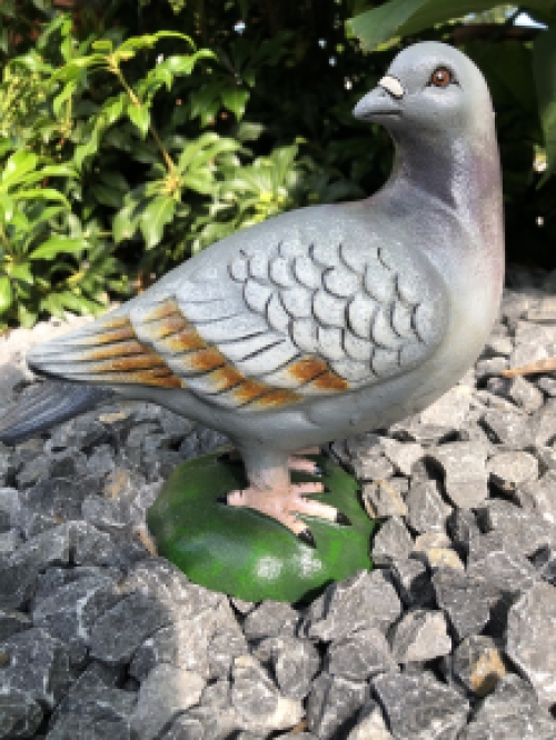 Schöne Statue, in Farbe, einer Taube, aus Gusseisen, schön