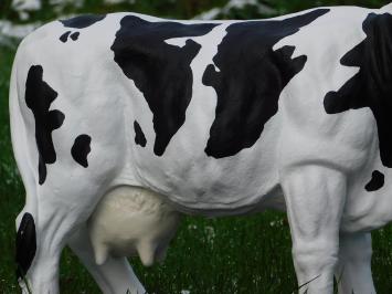 Kuh mit Hörnern - M - Polystone - Detailliert