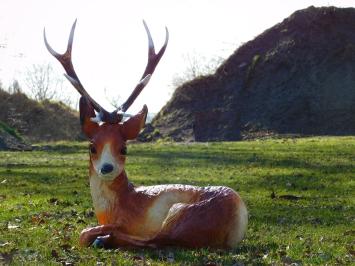 Statue Reclining Deer XL - 80 cm - Polystone