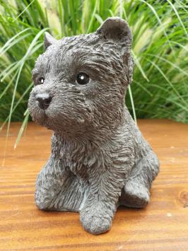 honden puppy , beeld van hond,kado