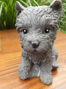 honden puppy , beeld van hond,kado