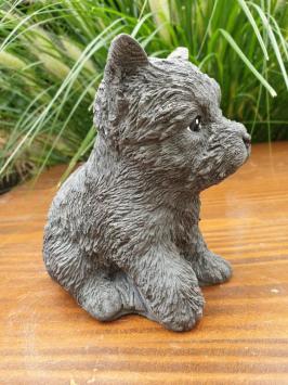 honden puppy , beeld van hond,kado