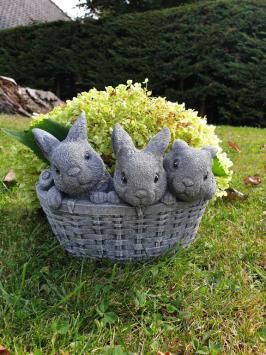 planter, flower box with 3 cute bunnies