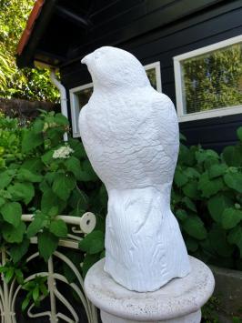 garden statue of a white eagle, eagle