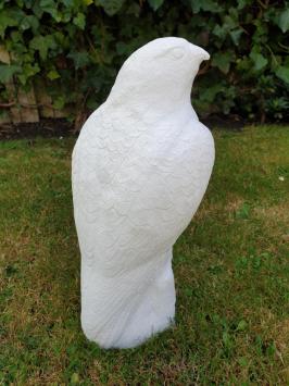 garden statue of a white eagle, eagle