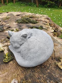 Große Katze, Katze, Beton