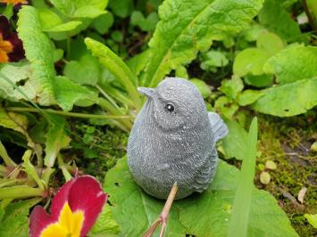 Süßer Spatz, Spatz, Vogel