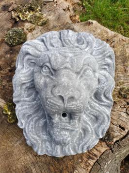 Lion's head as a gargoyle.