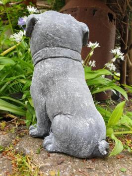 concrete statue dog cas