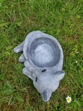 Bird bowl with cat.