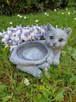 Bird bowl with cat.