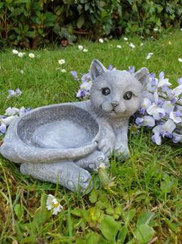 Bird bowl with cat.