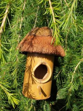 Bird house, bamboo, coconut