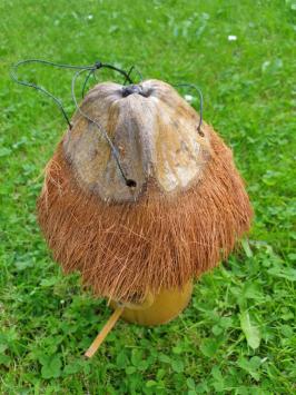 Bird house, bamboo, coconut