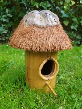 Bird house, bamboo, coconut