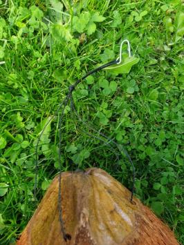 Bird house, bamboo, coconut