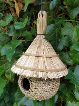 Birdhouse, carolien