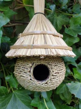 Birdhouse, carolien