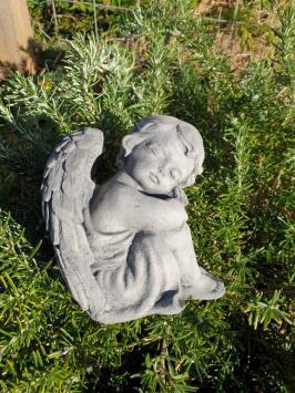 Angel, Sophie, garden statue