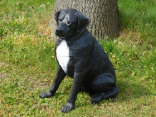 Prachtige ''Rottweiler'' zwart/wit - van Polystone