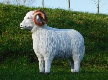 Sheep with Horns - 85 cm - Polystone