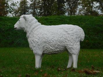 Sheep - 80 cm - Polystone