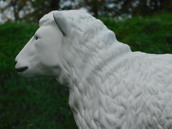 Sheep - 80 cm - Polystone