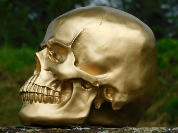 Skull - Skull - Polystone - Gold