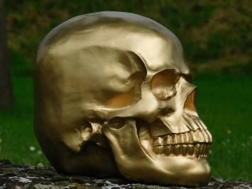 Skull - Schedel - Polystone - Goud