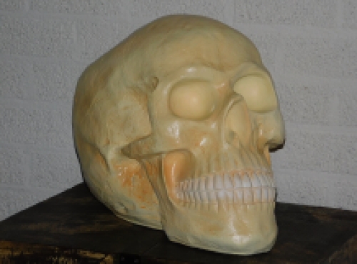 Skull XL - polystone - huge skull