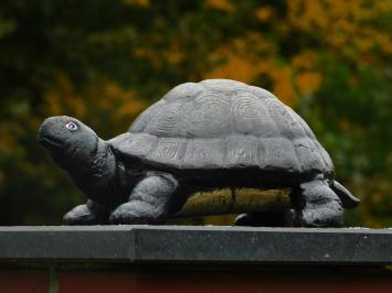 Statue Schildkröte - Gusseisen - Dekorative Statue