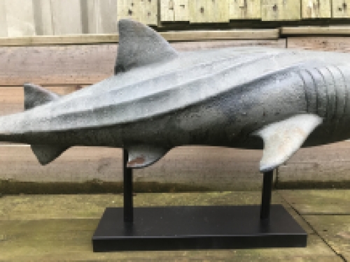 This shark is very special on its stand, beautiful to look at, very decorative!!