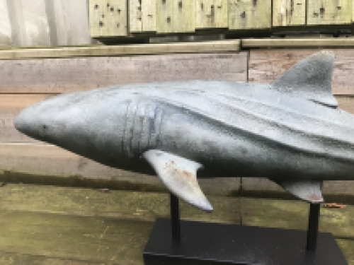 This shark is very special on its stand, beautiful to look at, very decorative!!