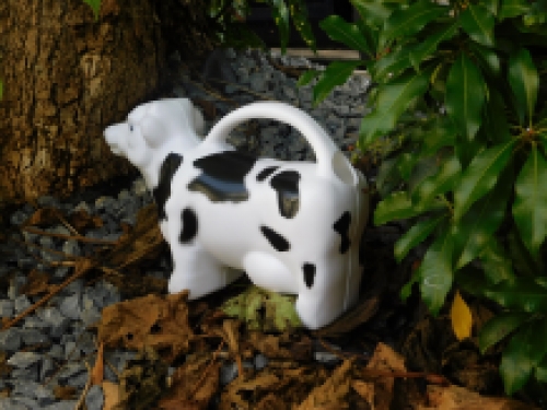 Watering can Cow - black and white - plastic