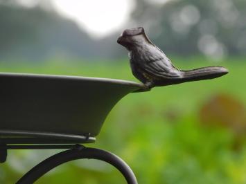 Bird bath with birds - 75 cm - Brown