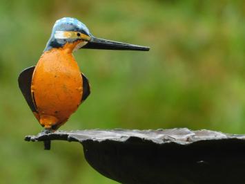 Handgefertigte Futterschüssel mit Eisvogel - Gartenstab - Metall