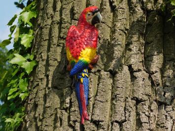 Roter Papagei - Gusseisen