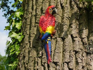 Roter Papagei - Gusseisen