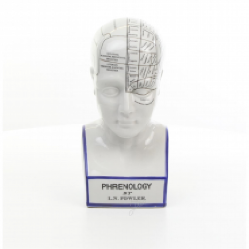 Een porseleinen phrenology hoofd in blauwe kleuring